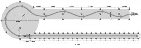 CIRCUITO 1